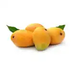 Ratnagiri Mangoes